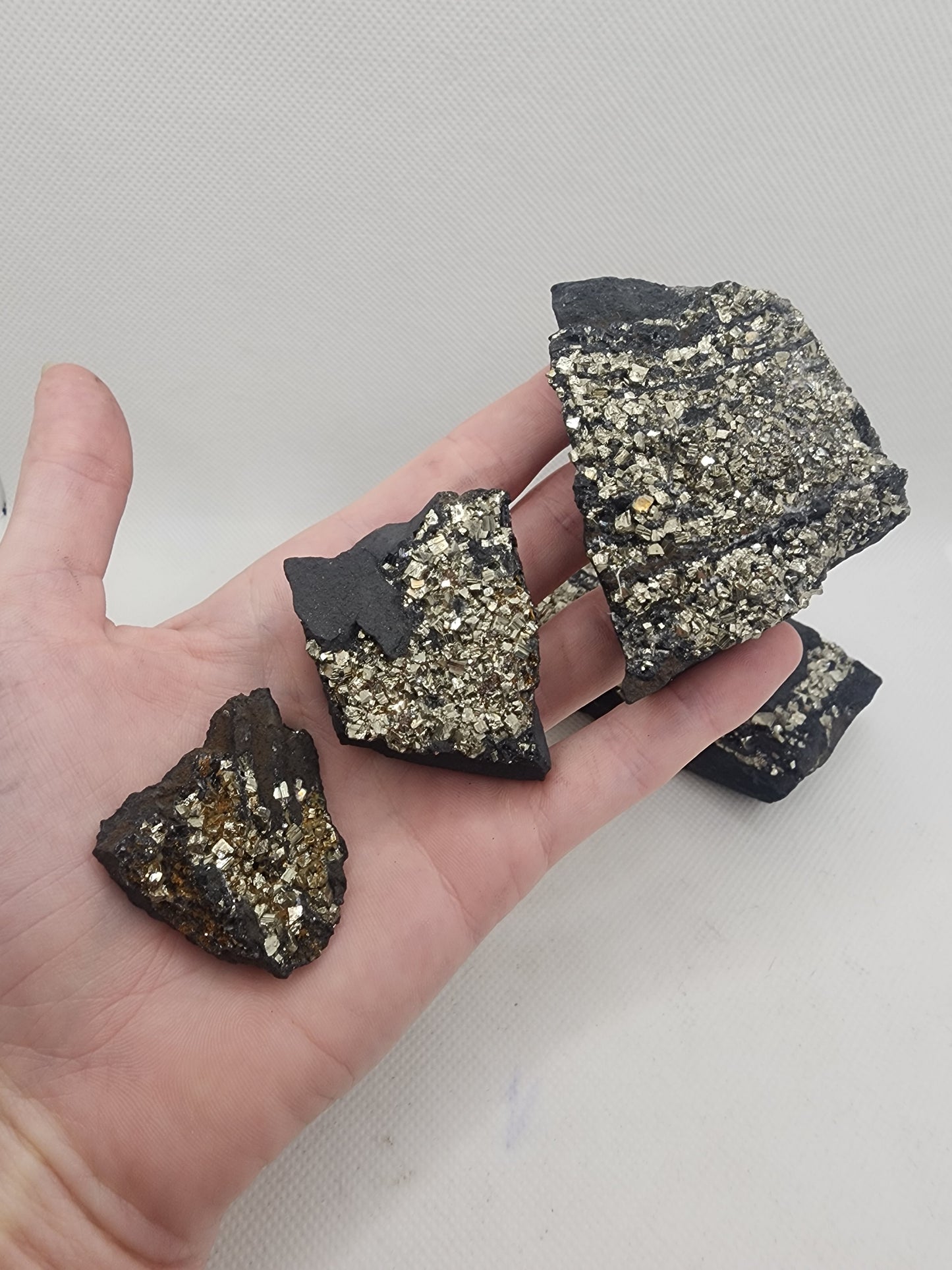 Pyrite on Shungite Specimen 1pc