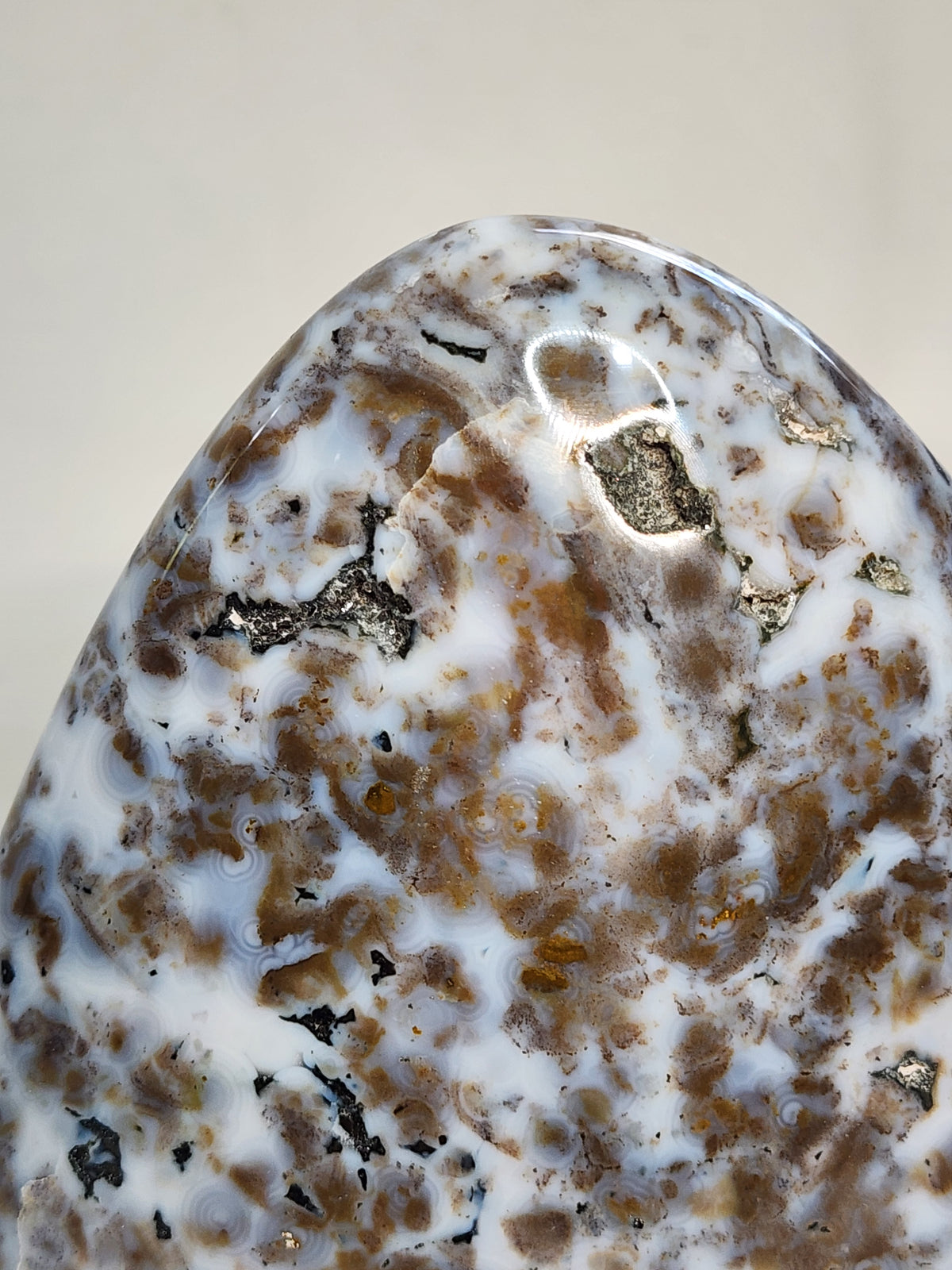 Ocean Jasper 4.1lb Freeform