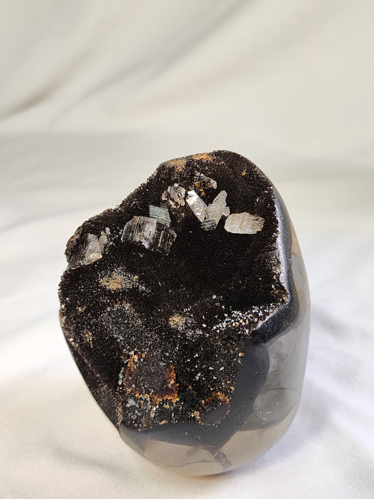 Black Septarian 2lb Freeform