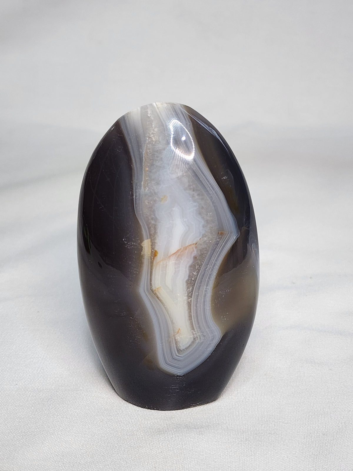 Banded Orca Agate 0.8lb Freeform