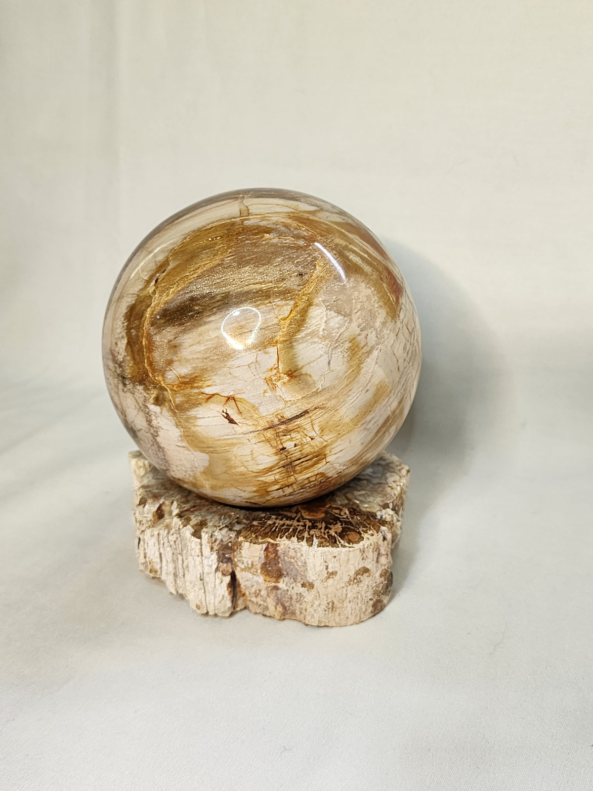 Petrified Wood Sphere and Matching Stand Set