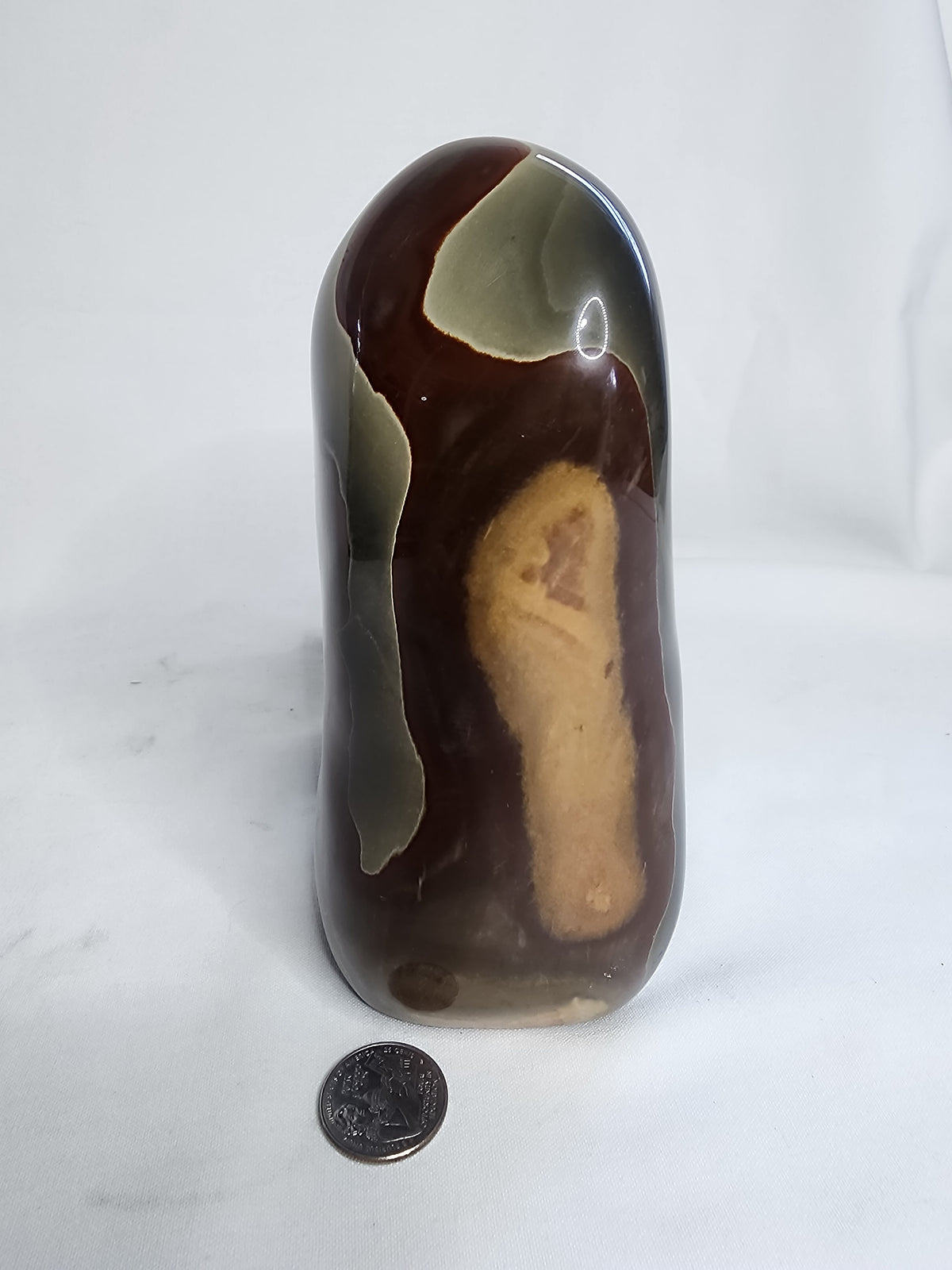 Polychrome Jasper 5lb Freeform