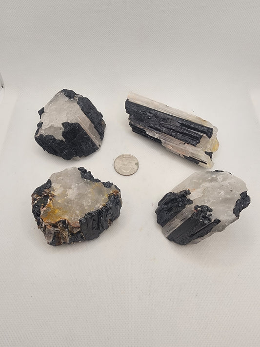 Black Tourmaline in Quartz Specimen
