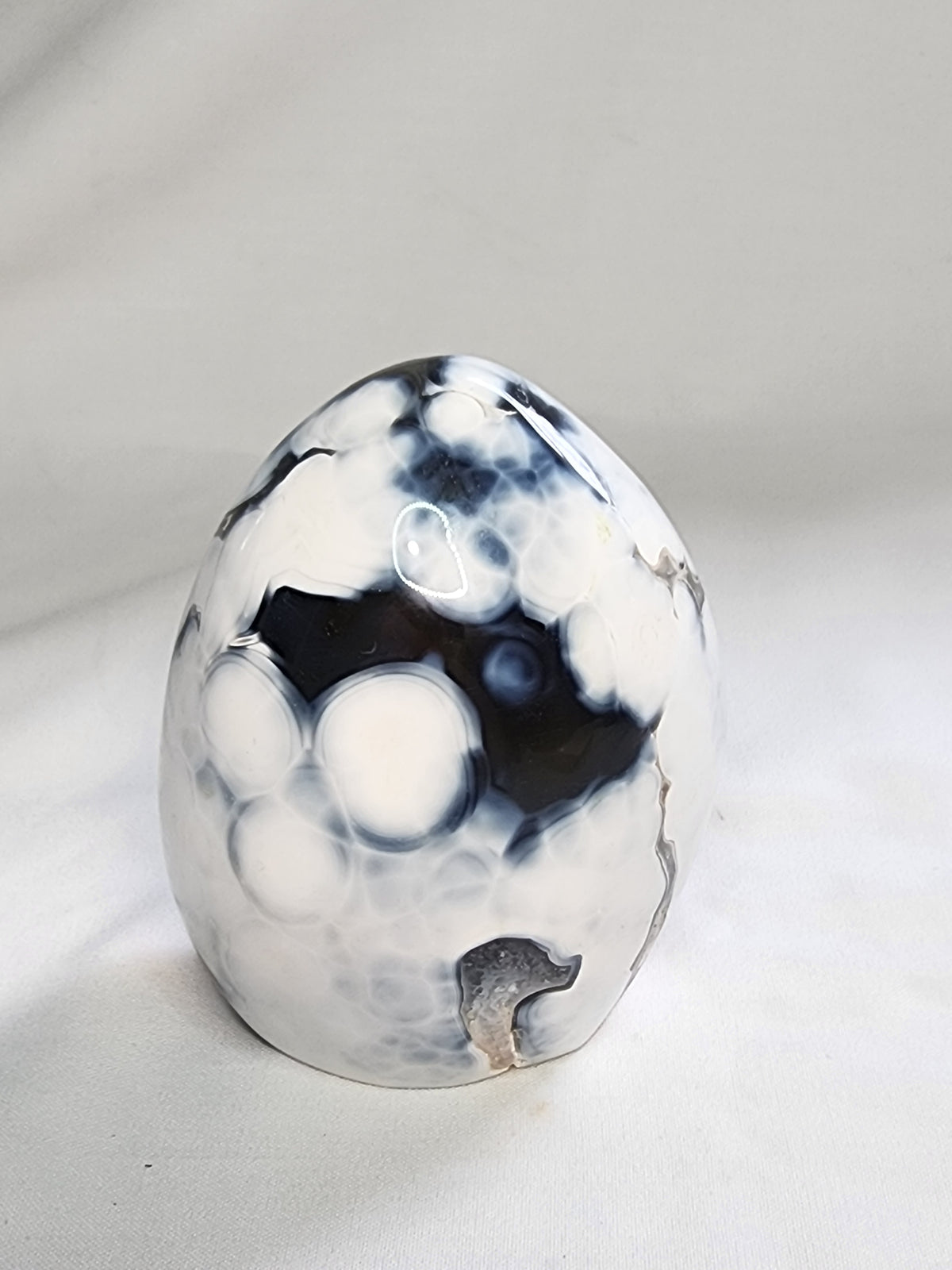 Orca Agate 2lb Freeform