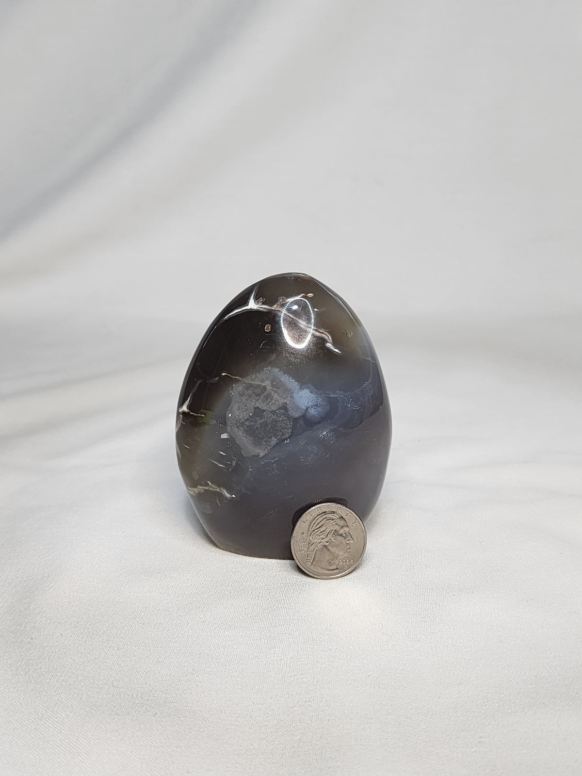 Orca Agate 1lb Freeform