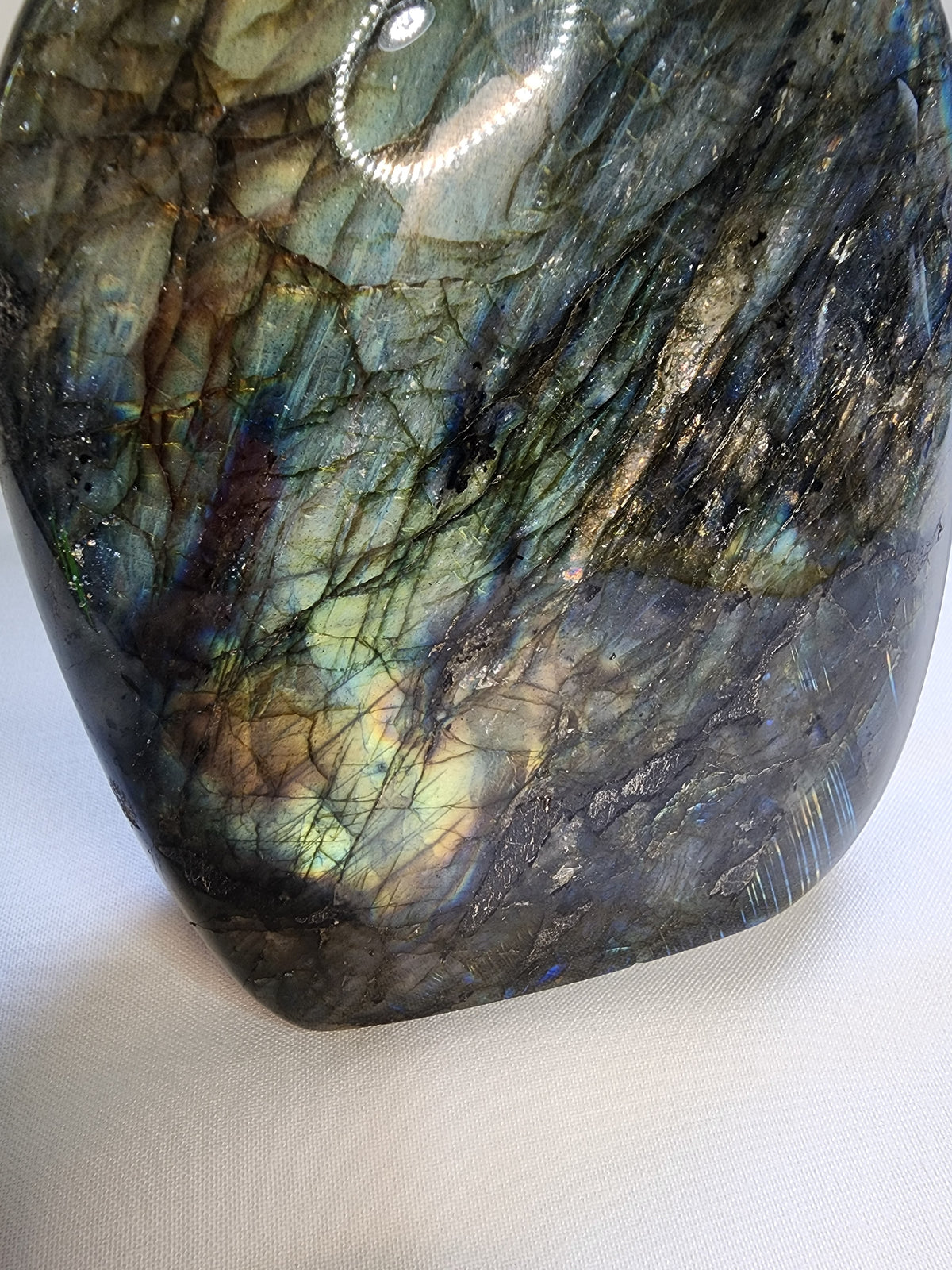 Labradorite 2.8lb Freeform