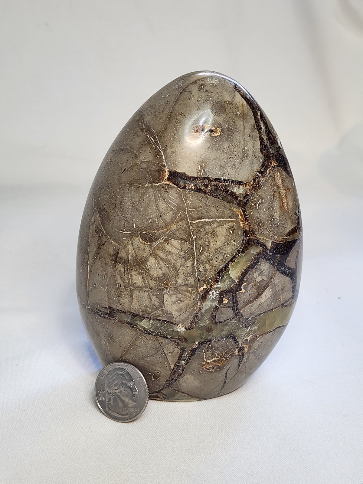 Septarian 2.4lb Freeform