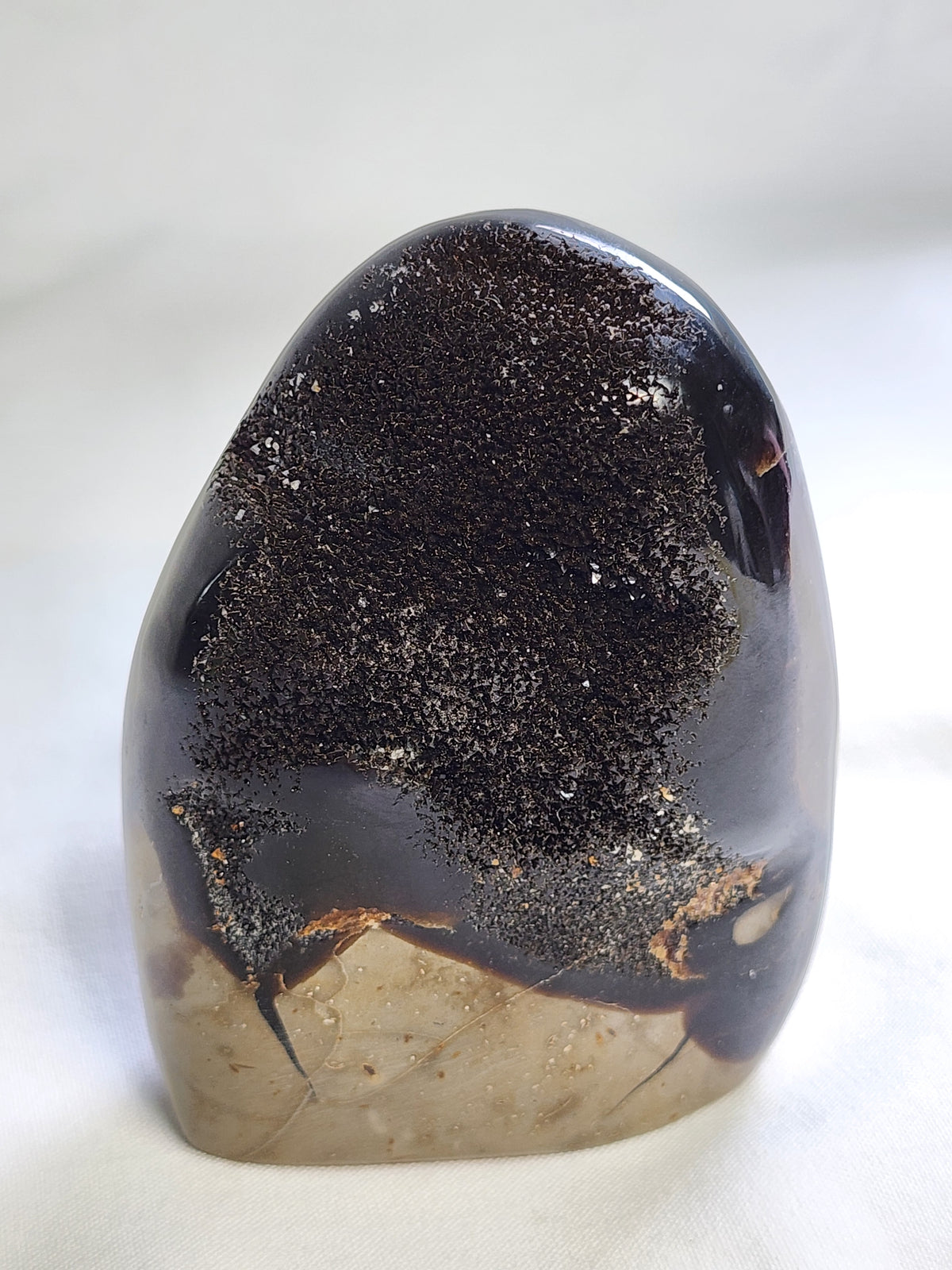 Black Septarian 1.3lb Freeform