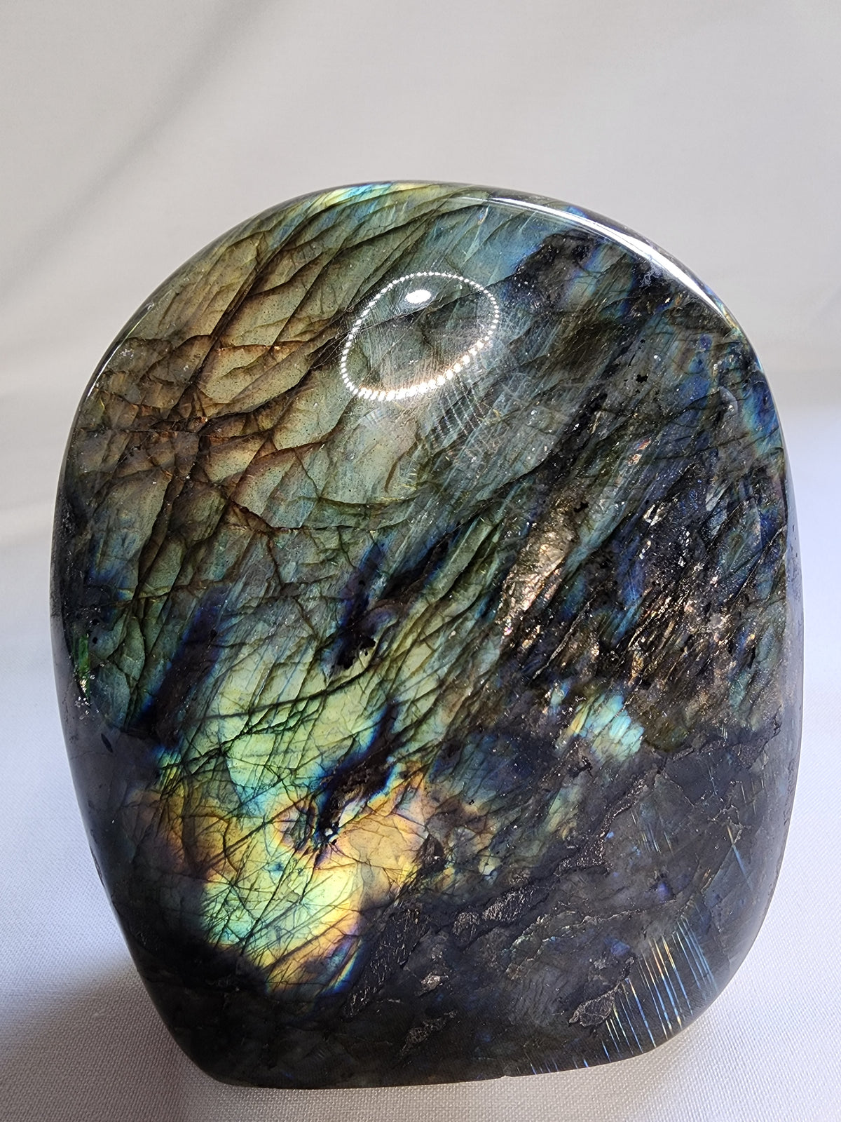 Labradorite 2.8lb Freeform