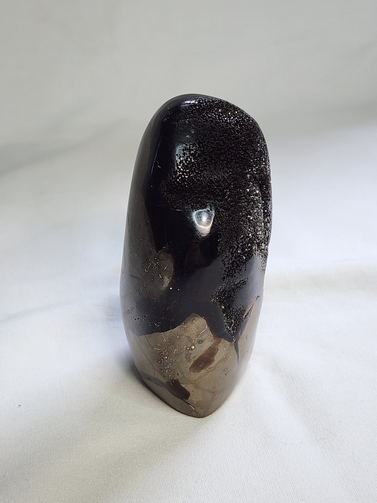 Black Septarian 1.3lb Freeform