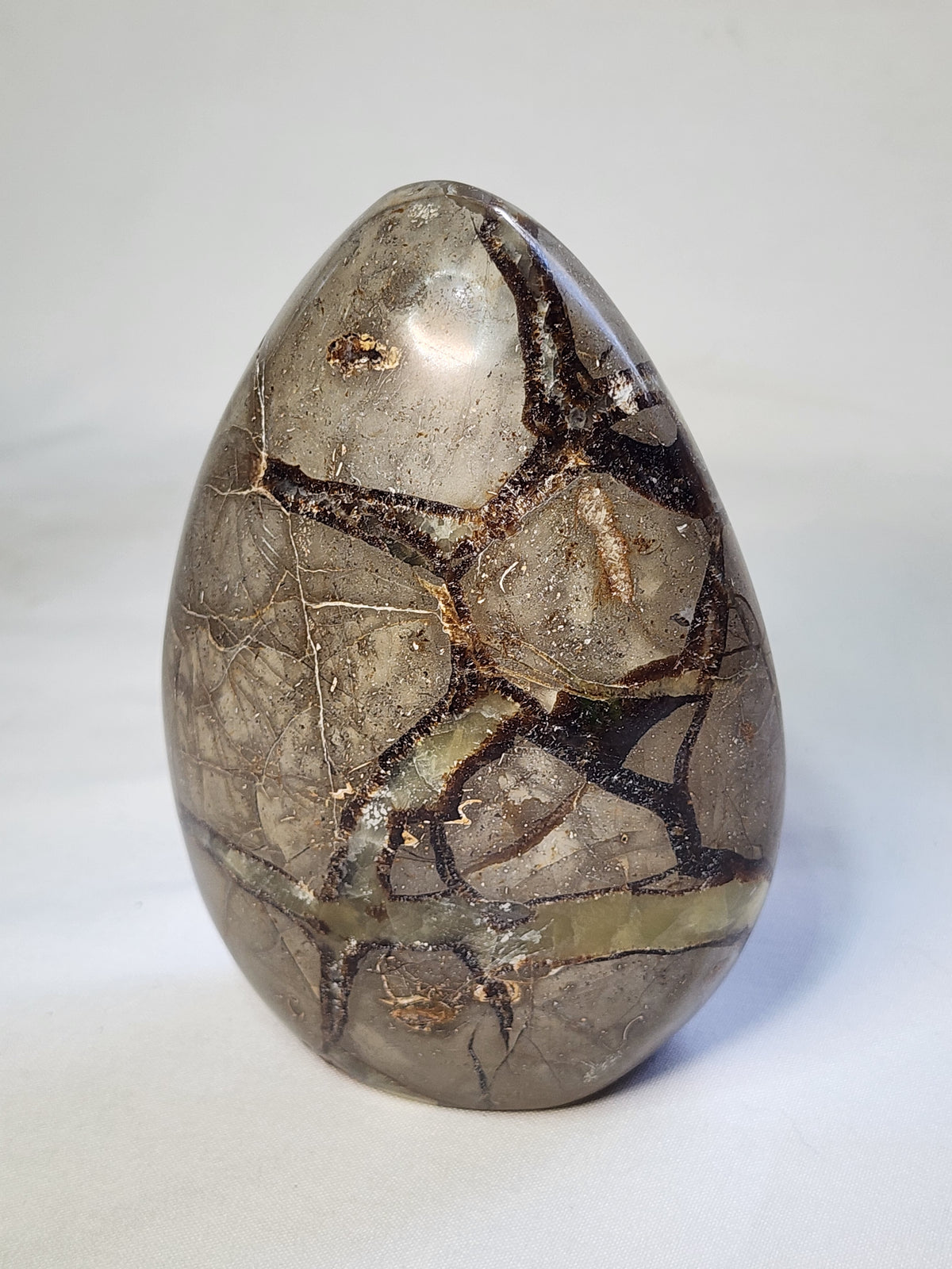 Septarian 2.4lb Freeform