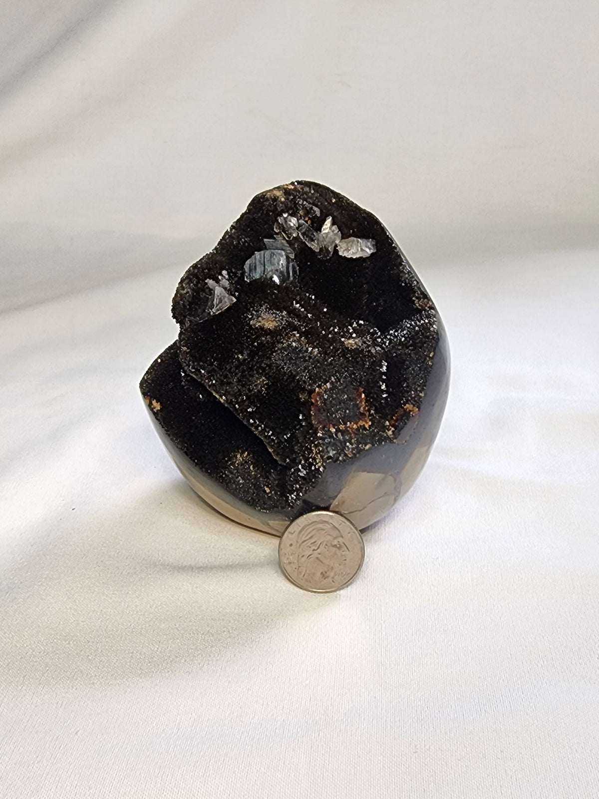 Black Septarian 2lb Freeform