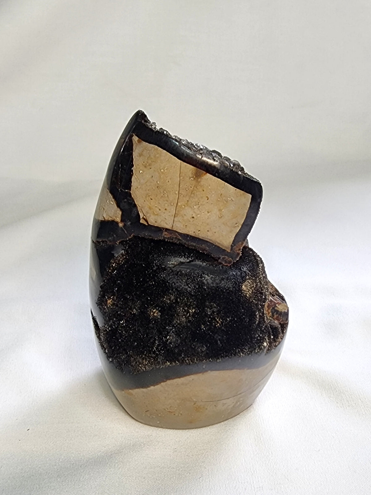 Black Septarian 2lb Freeform with Calcite Growth