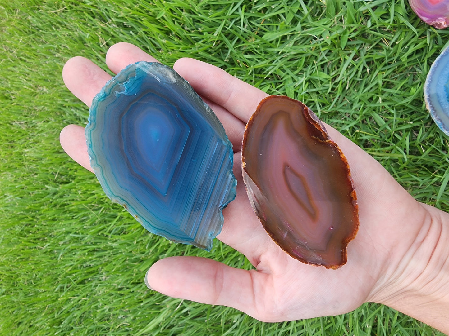 Dyed Agate Display