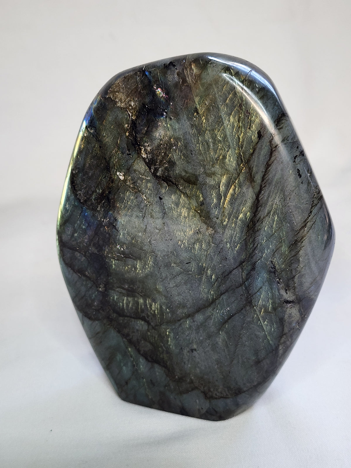 Labradorite 2.6lb Freeform