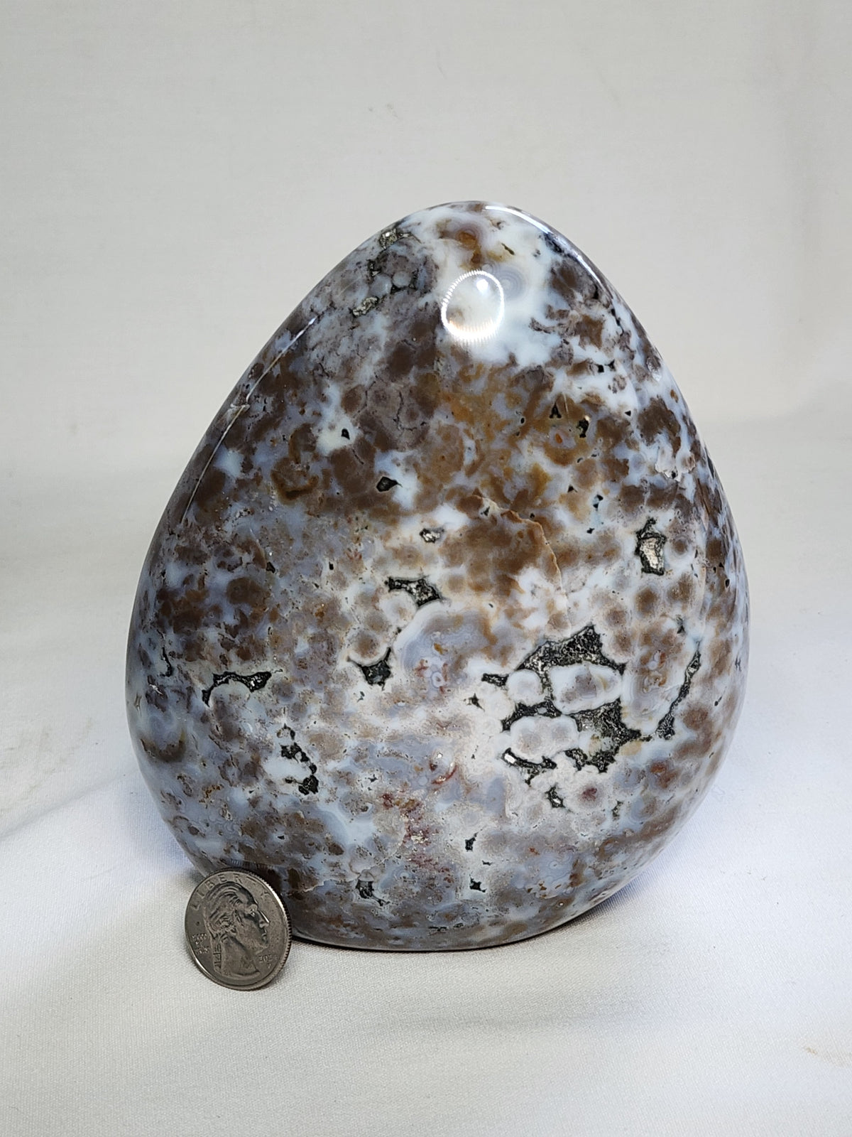 Ocean Jasper 4.1lb Freeform