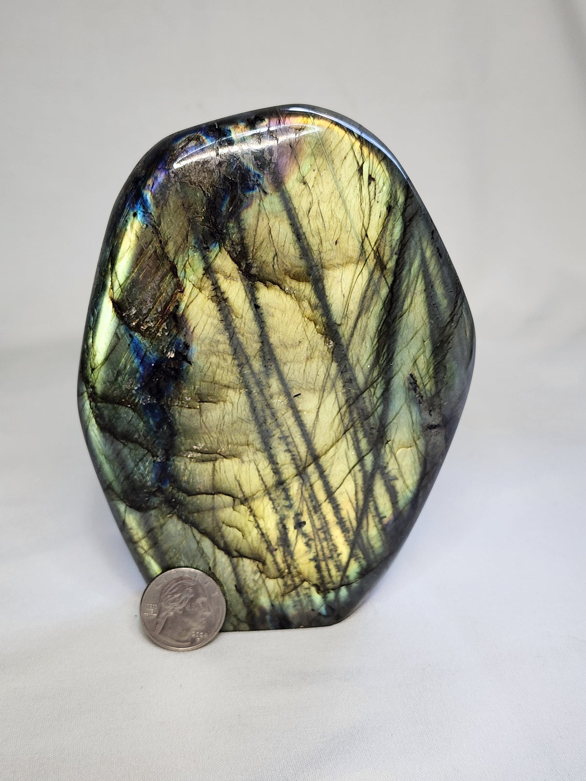 Labradorite 2.6lb Freeform