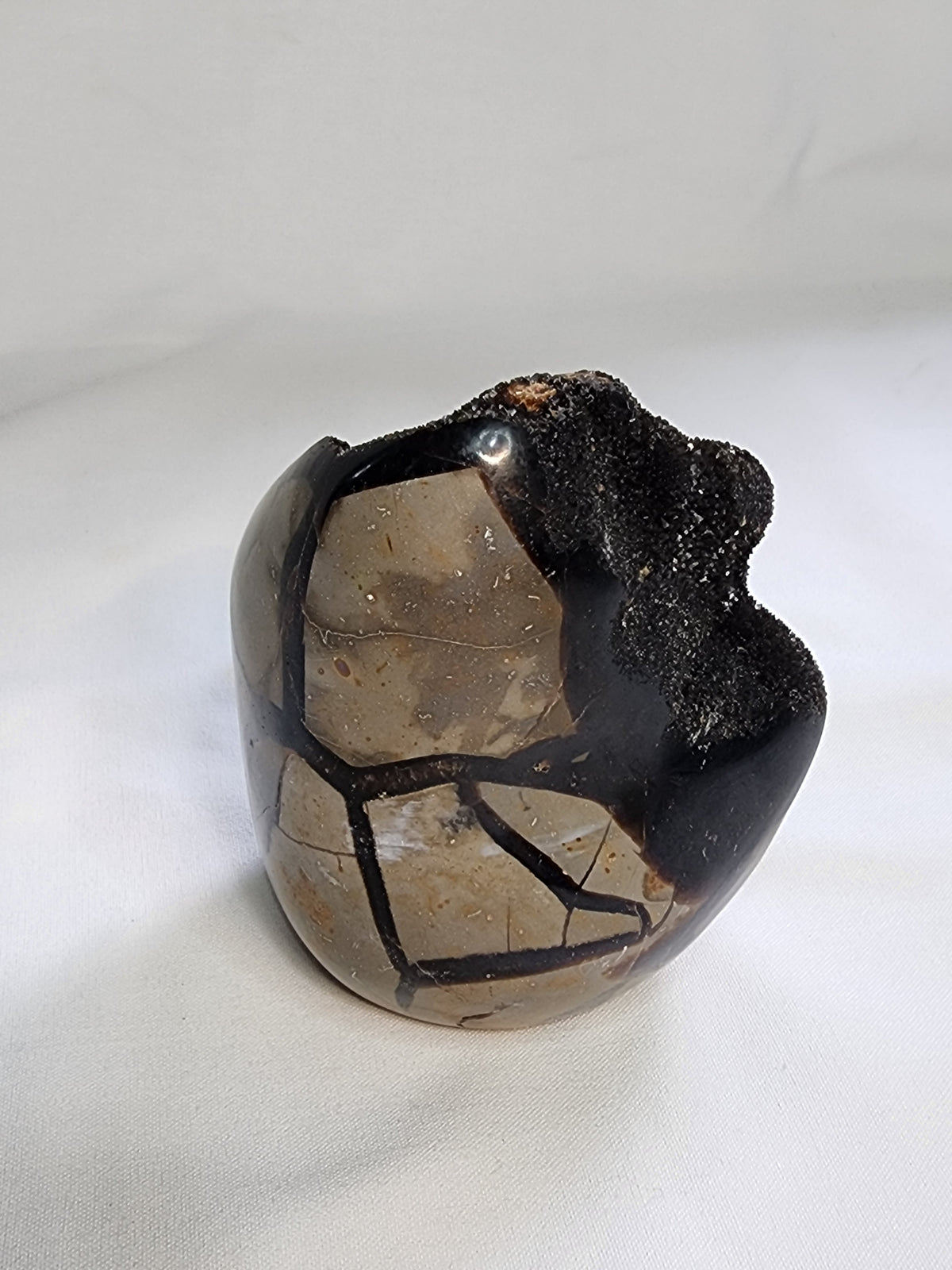 Black Septarian 2lb Freeform