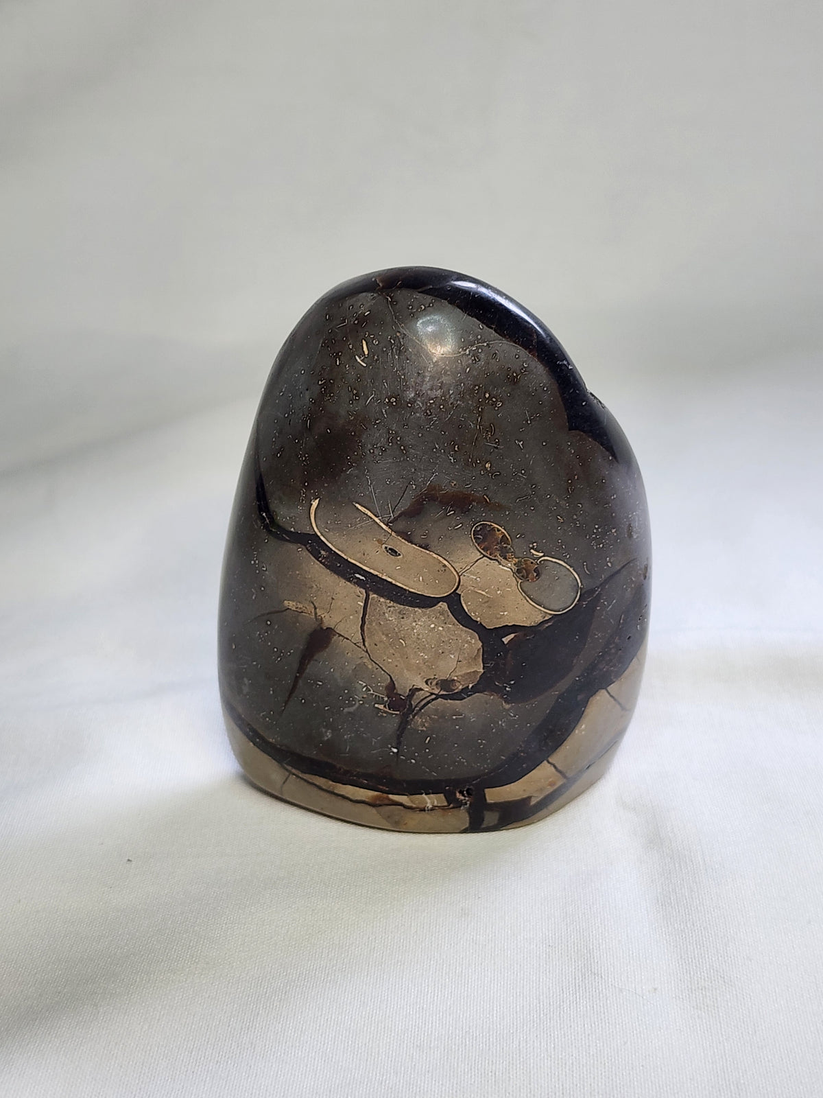 Black Septarian 1.3lb Freeform