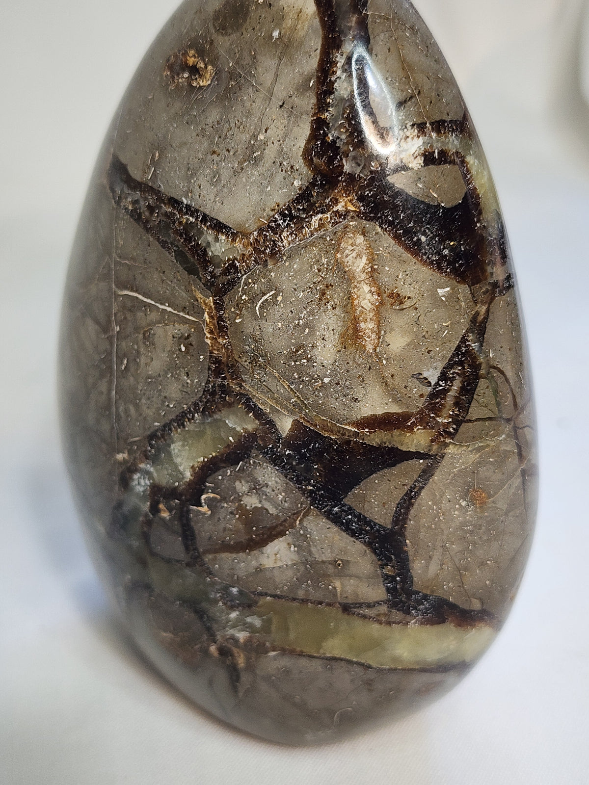 Septarian 2.4lb Freeform