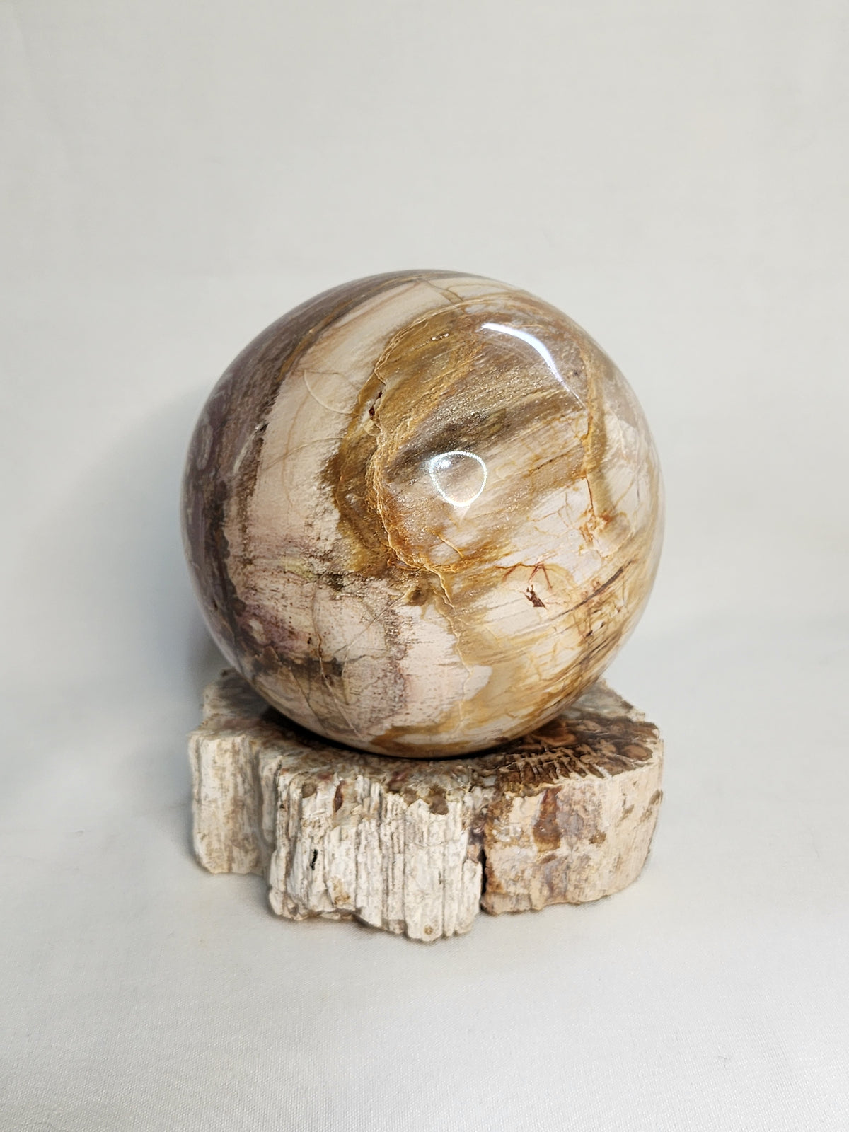 Petrified Wood Sphere and Matching Stand Set
