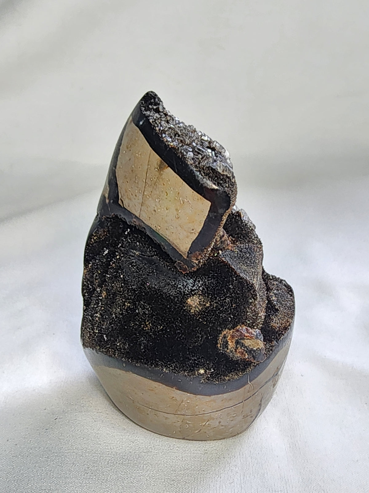 Black Septarian 2lb Freeform with Calcite Growth