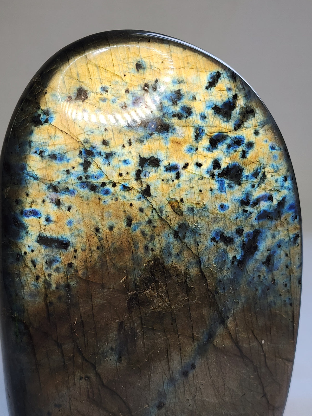 Labradorite 3.5lb Freeform