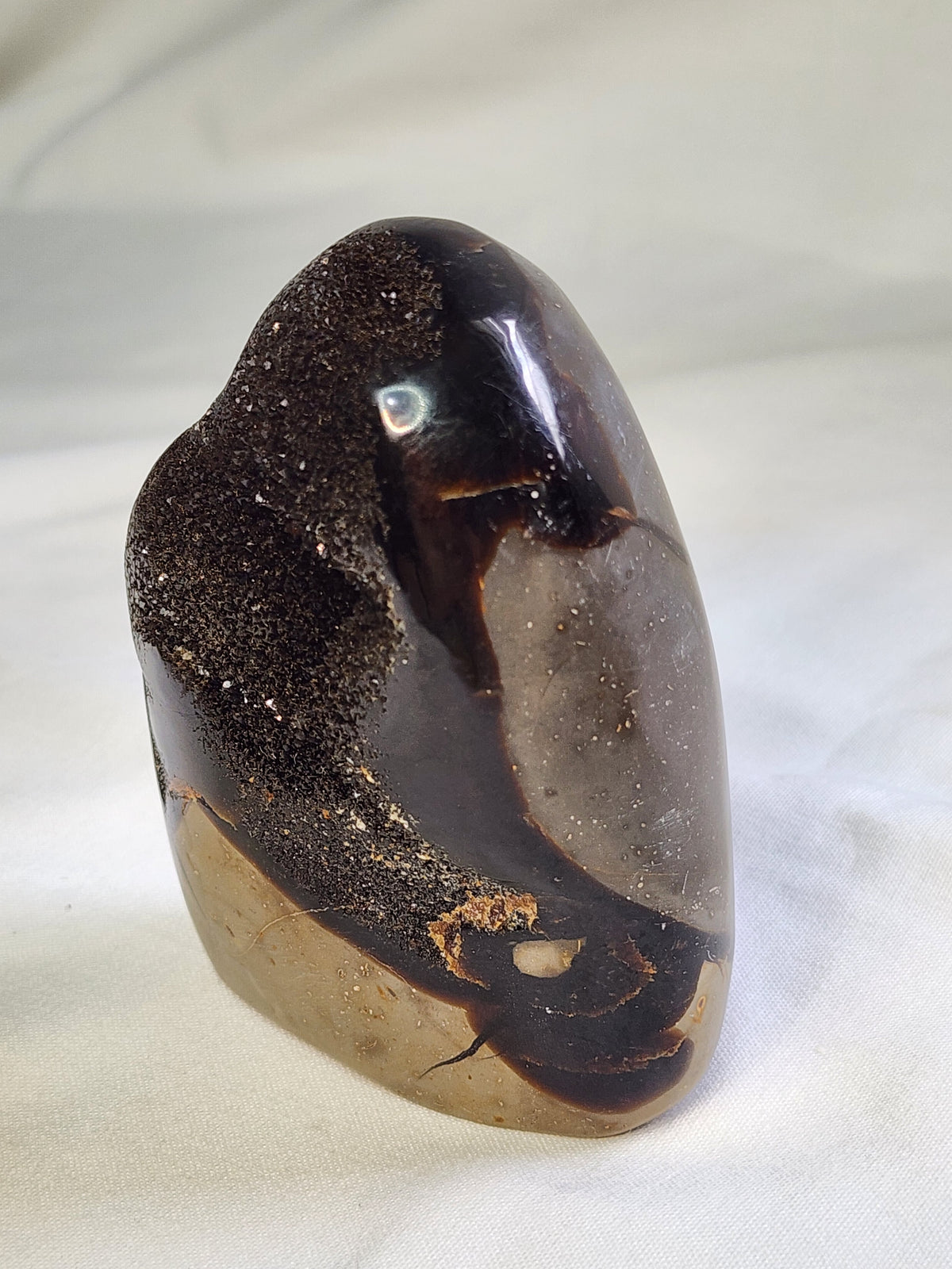 Black Septarian 1.3lb Freeform