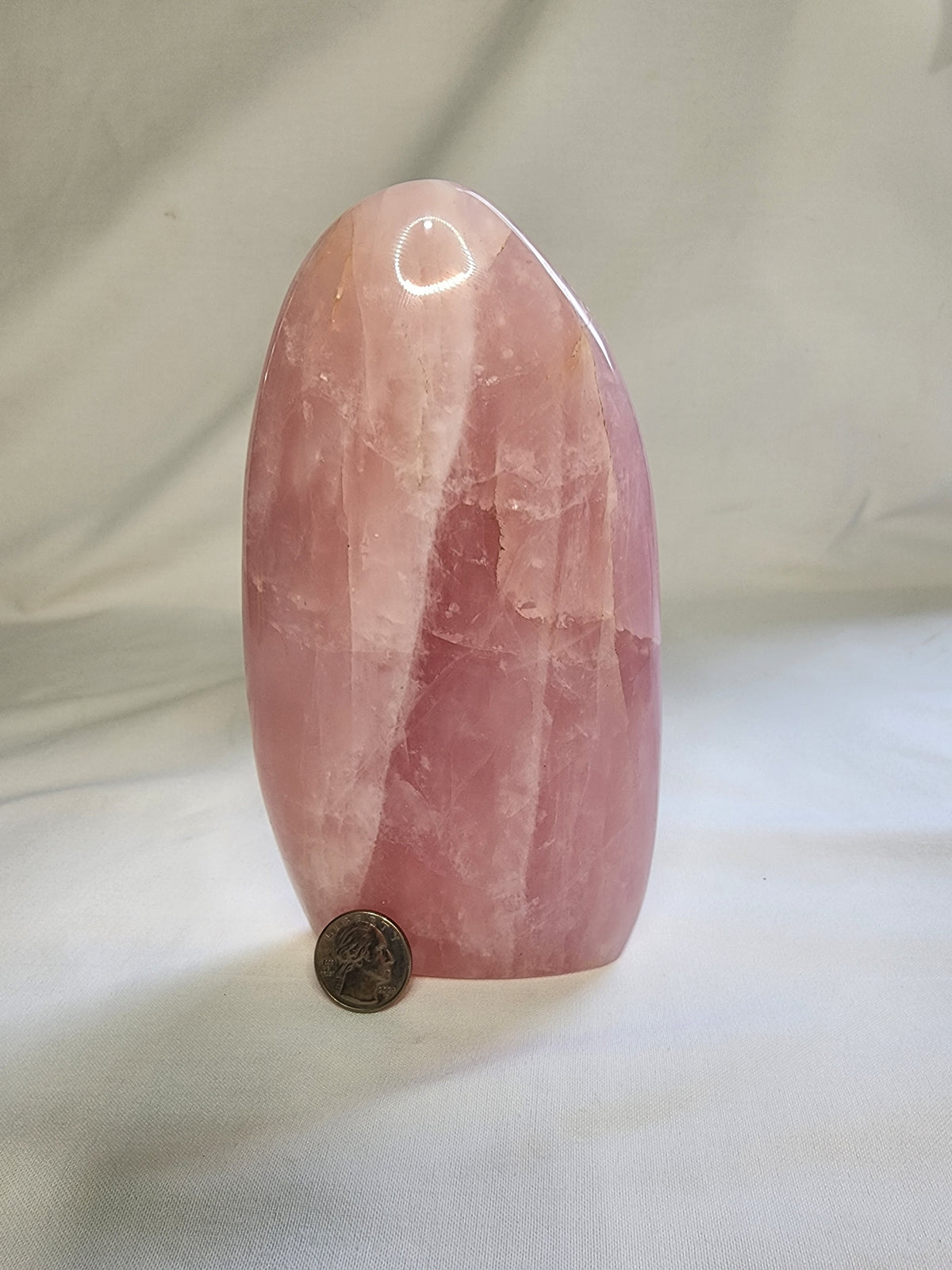 Rose Quartz 2.8lb Freeform