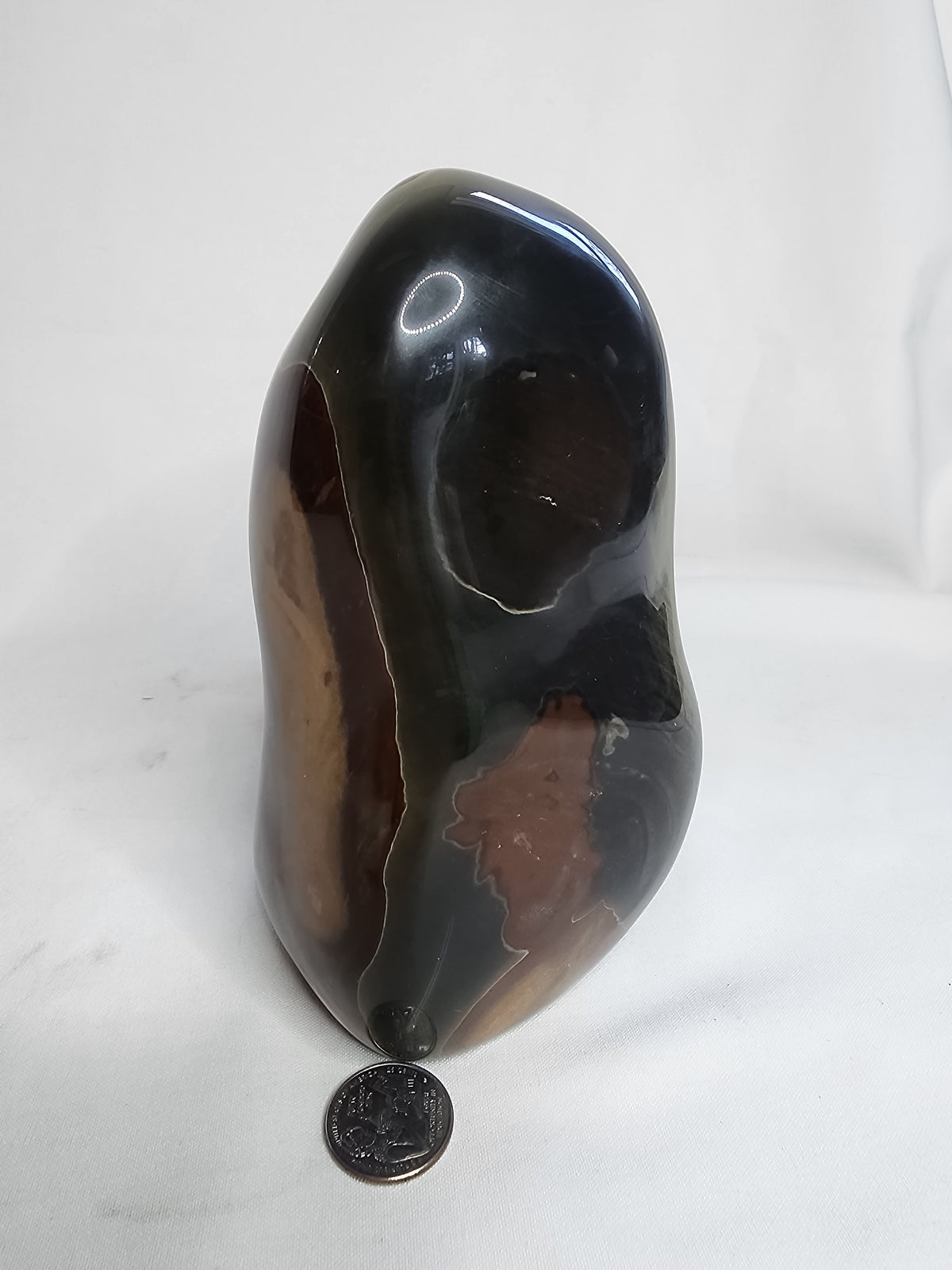 Polychrome Jasper 5lb Freeform