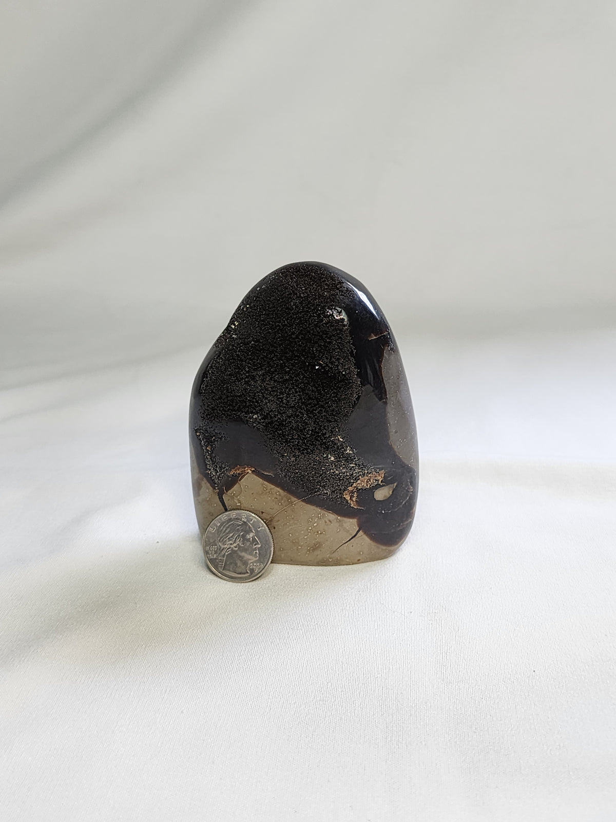 Black Septarian 1.3lb Freeform