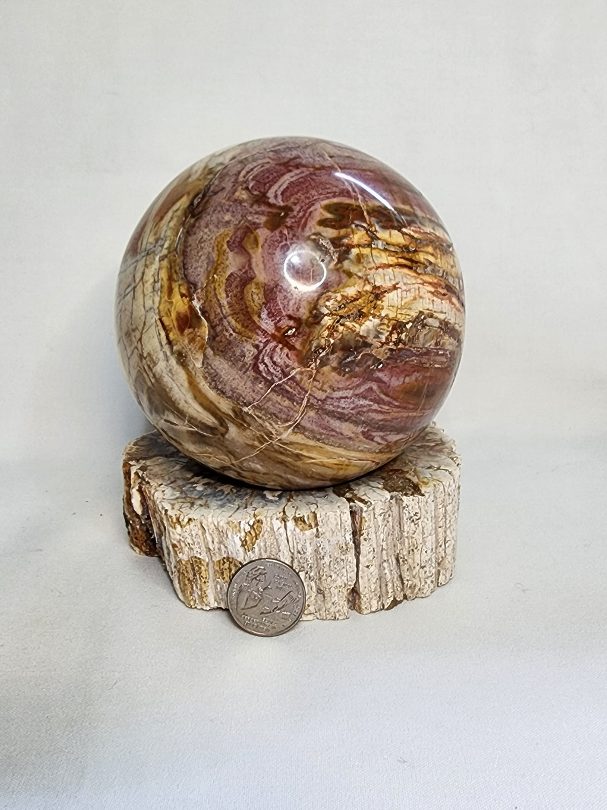Petrified Wood Sphere and Matching Stand Set