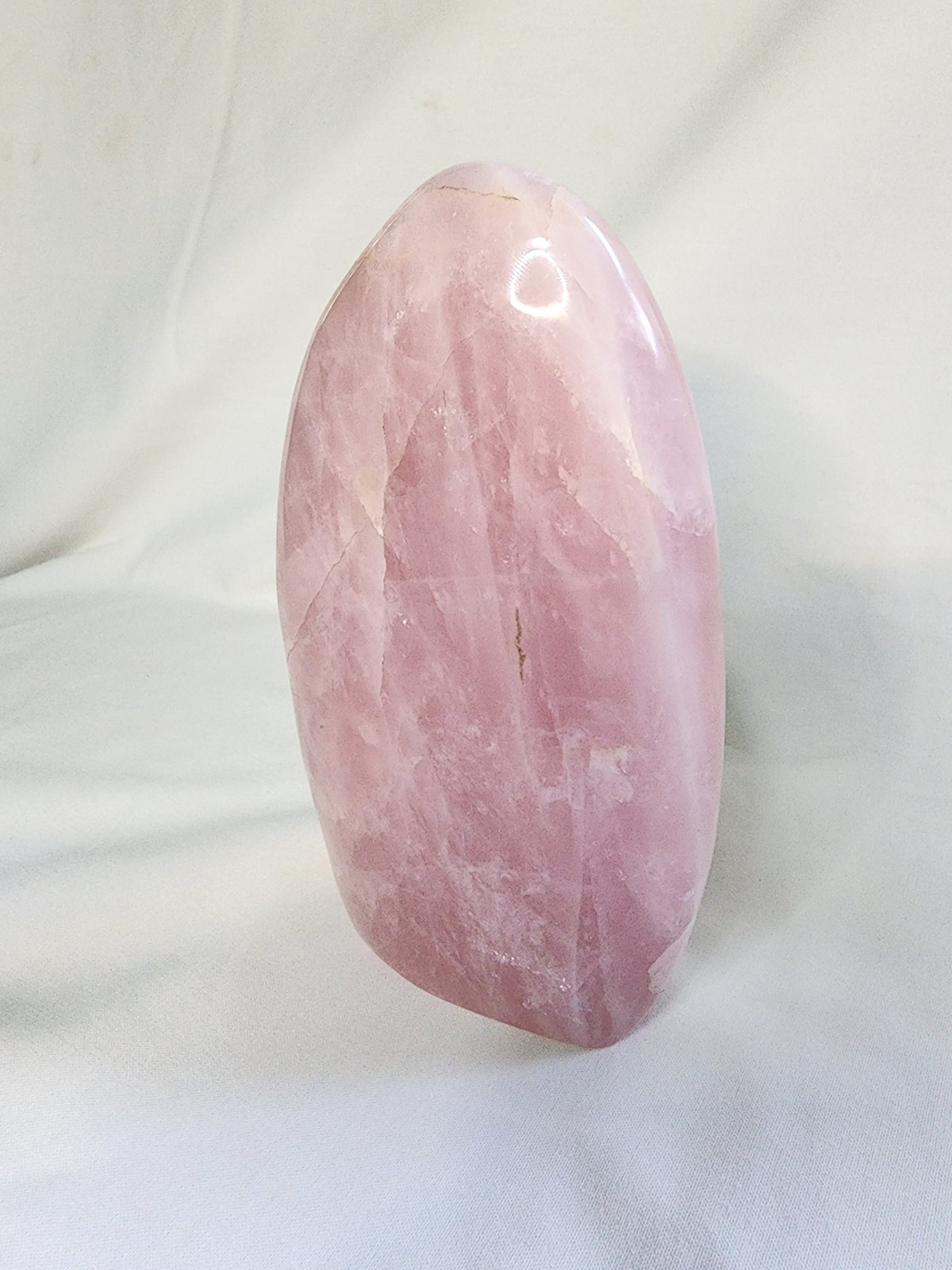 Rose Quartz 2.8lb Freeform
