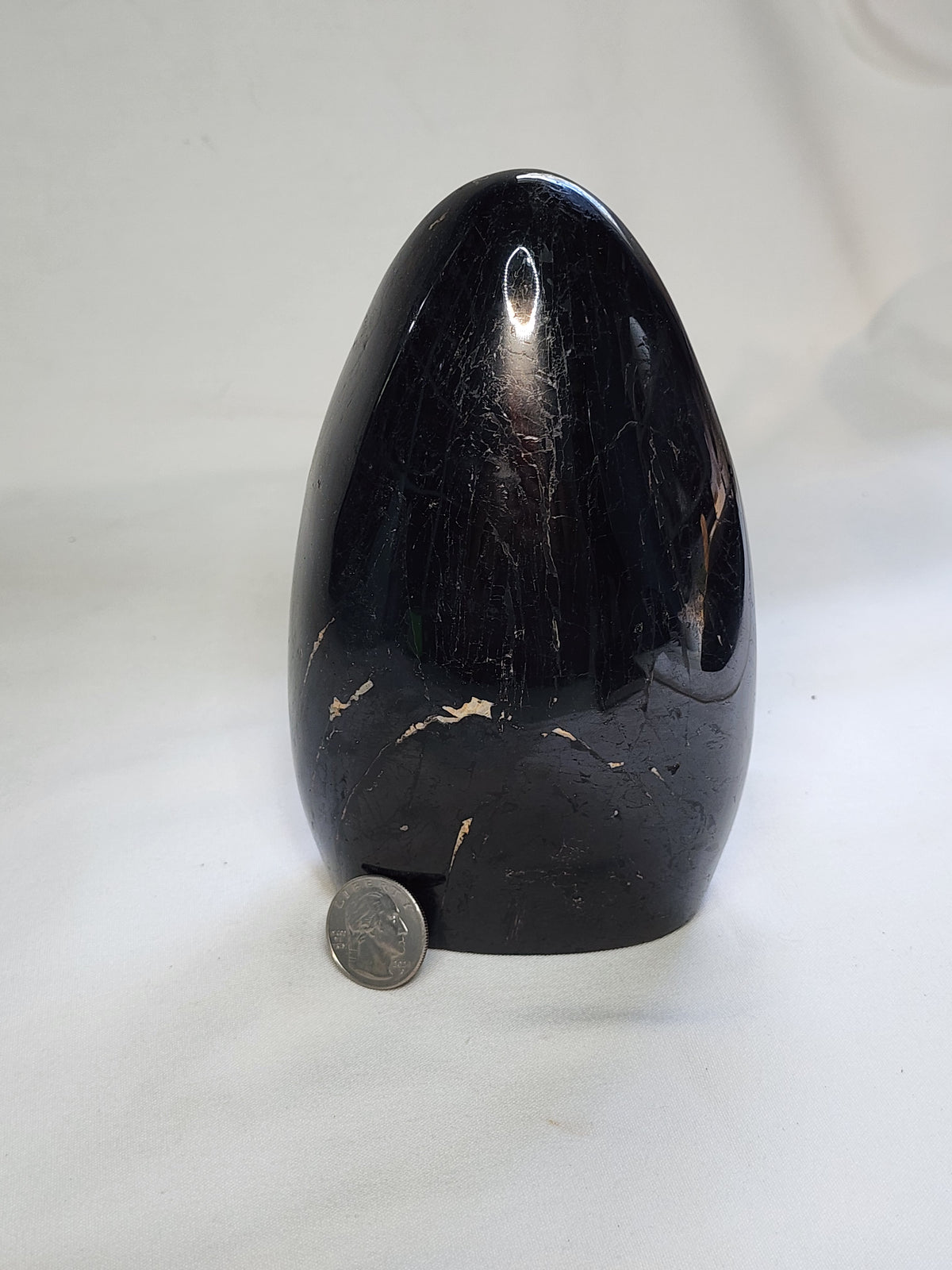 Black Tourmaline 4.8lb Freeform