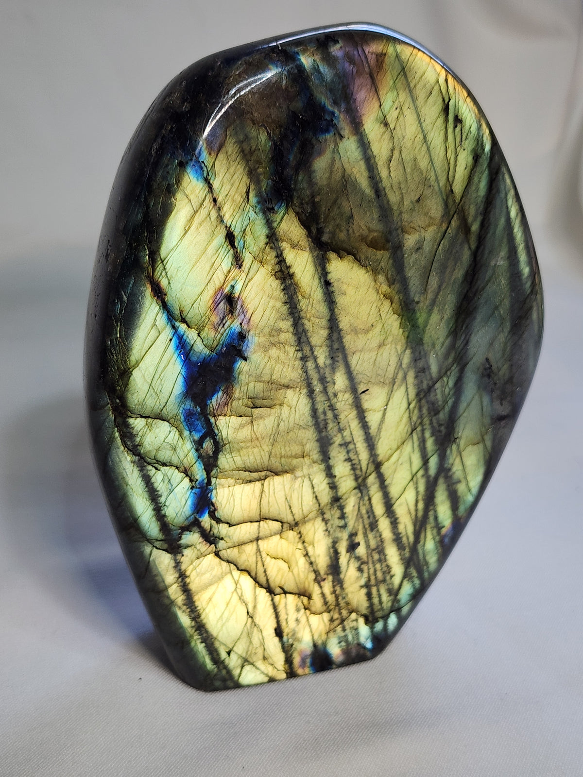 Labradorite 2.6lb Freeform