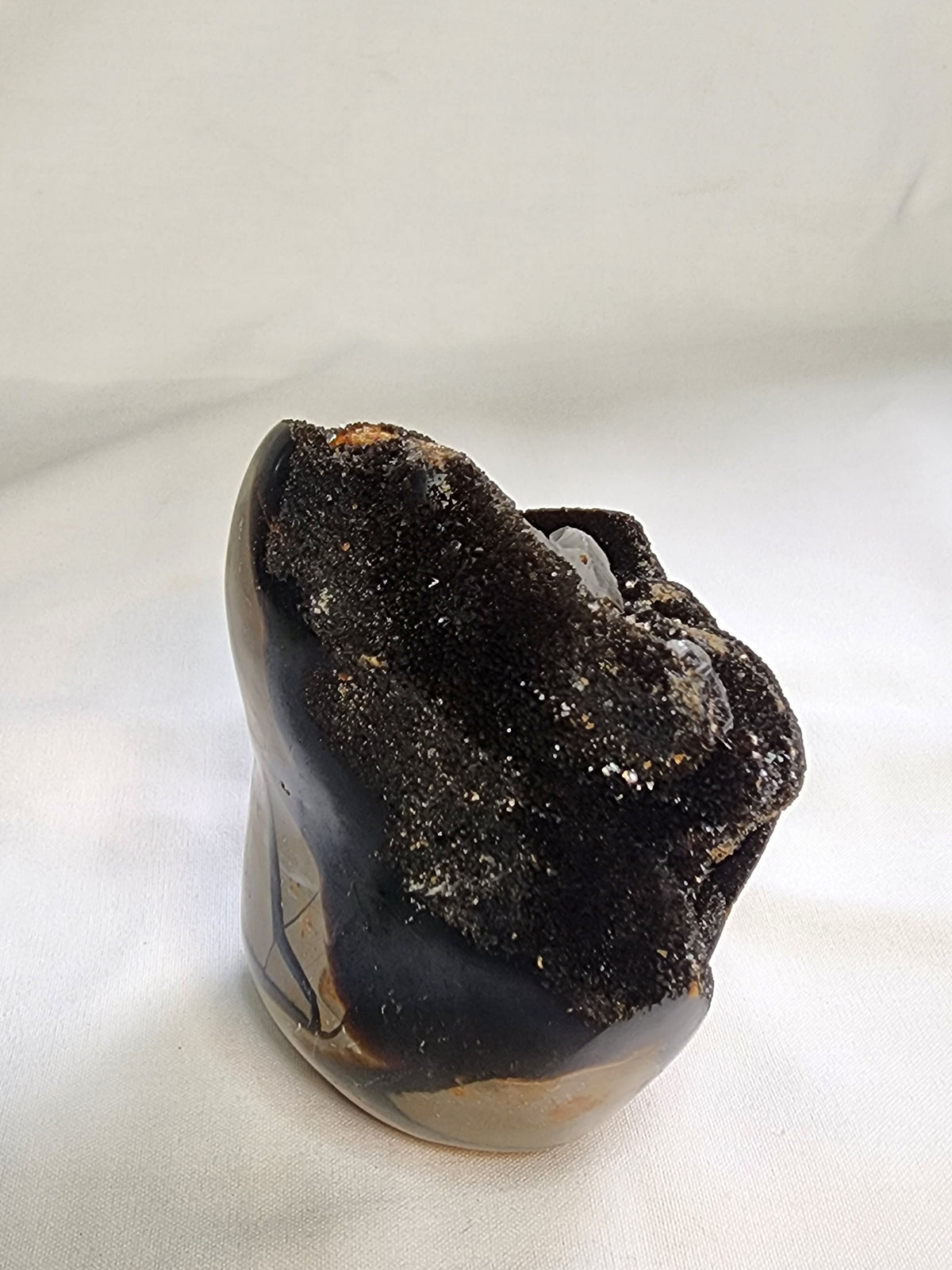 Black Septarian 2lb Freeform
