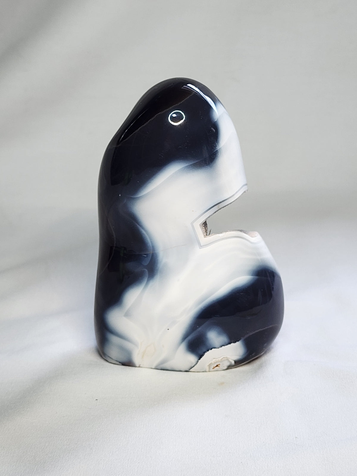 Orca Agate 2.2lb Freeform with open Druzy
