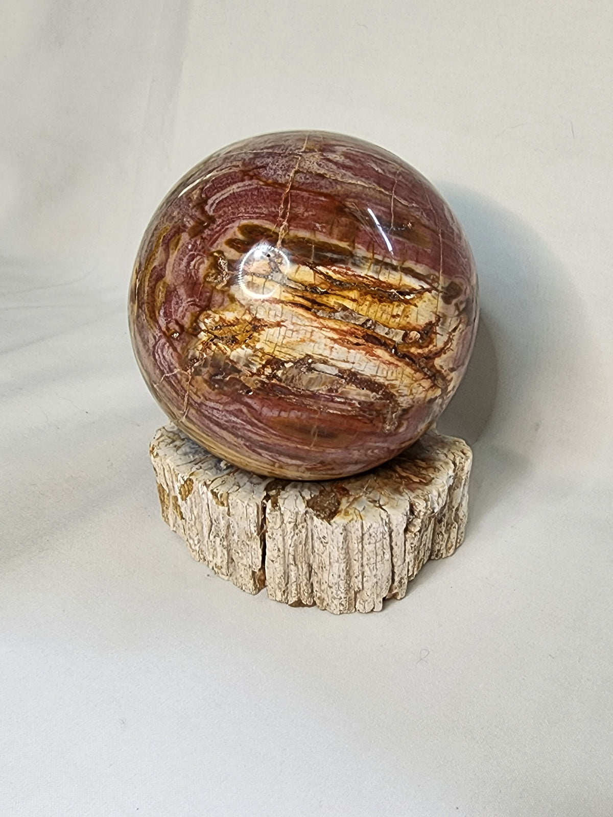 Petrified Wood Sphere and Matching Stand Set