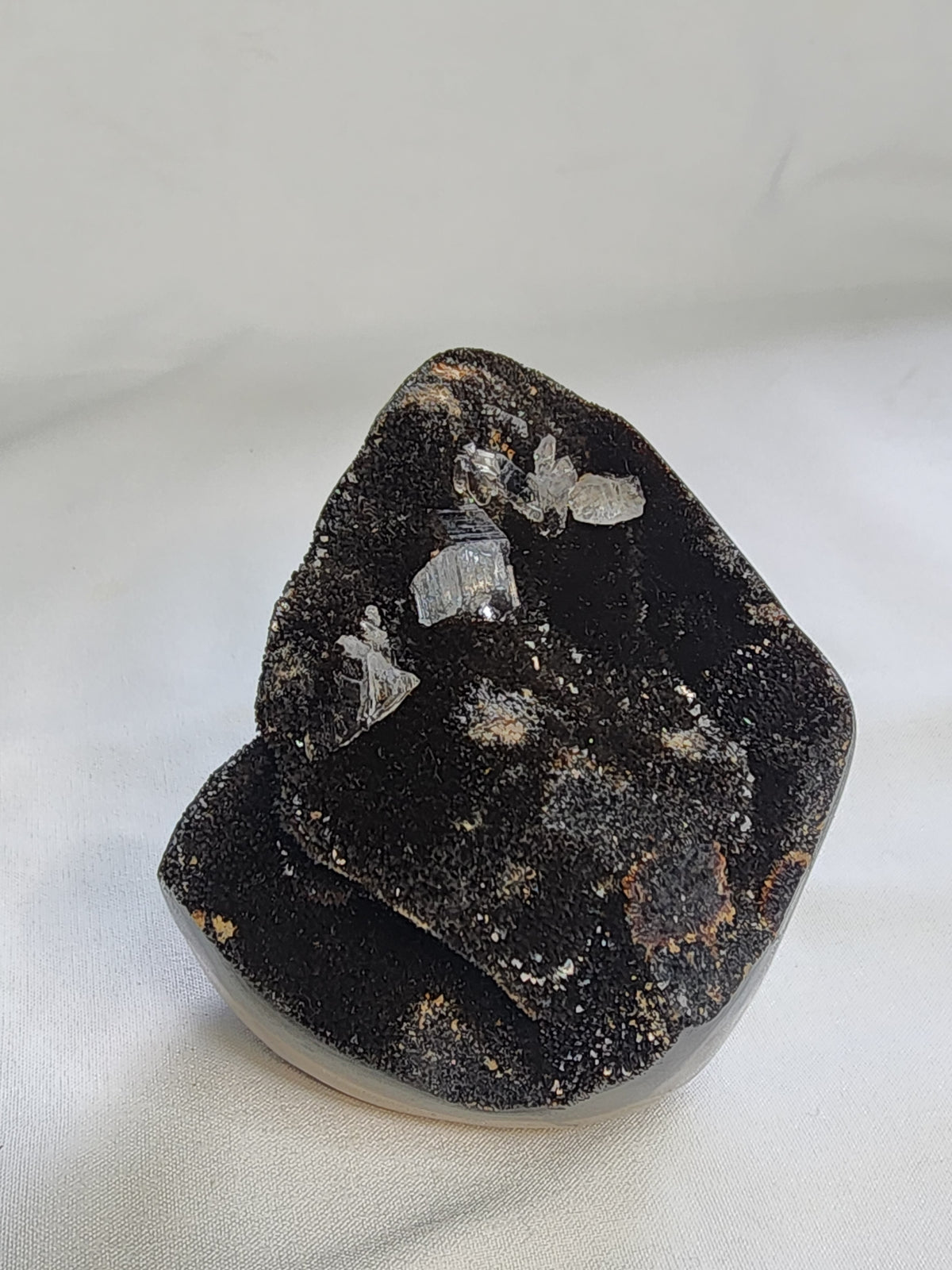 Black Septarian 2lb Freeform