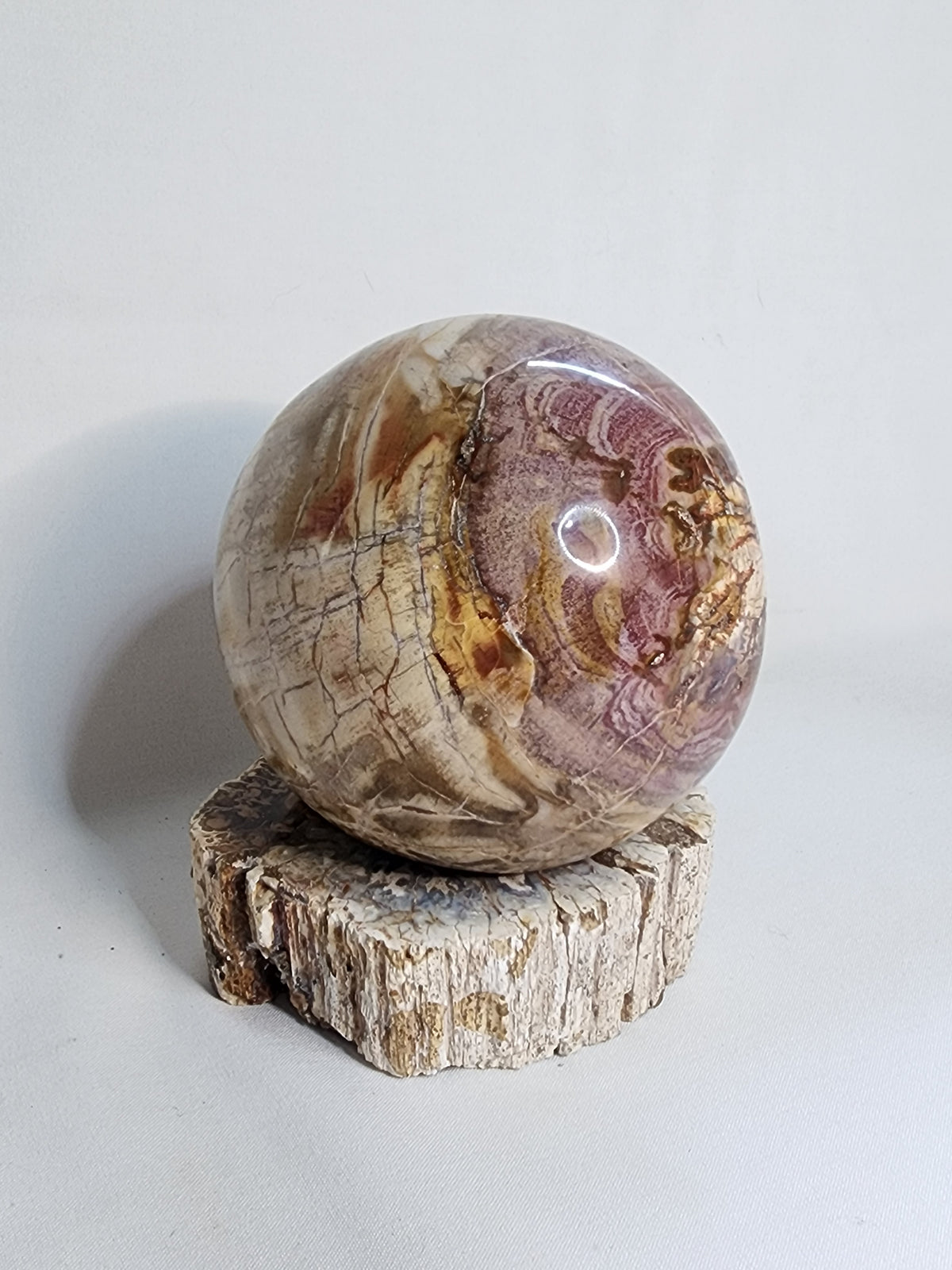 Petrified Wood Sphere and Matching Stand Set