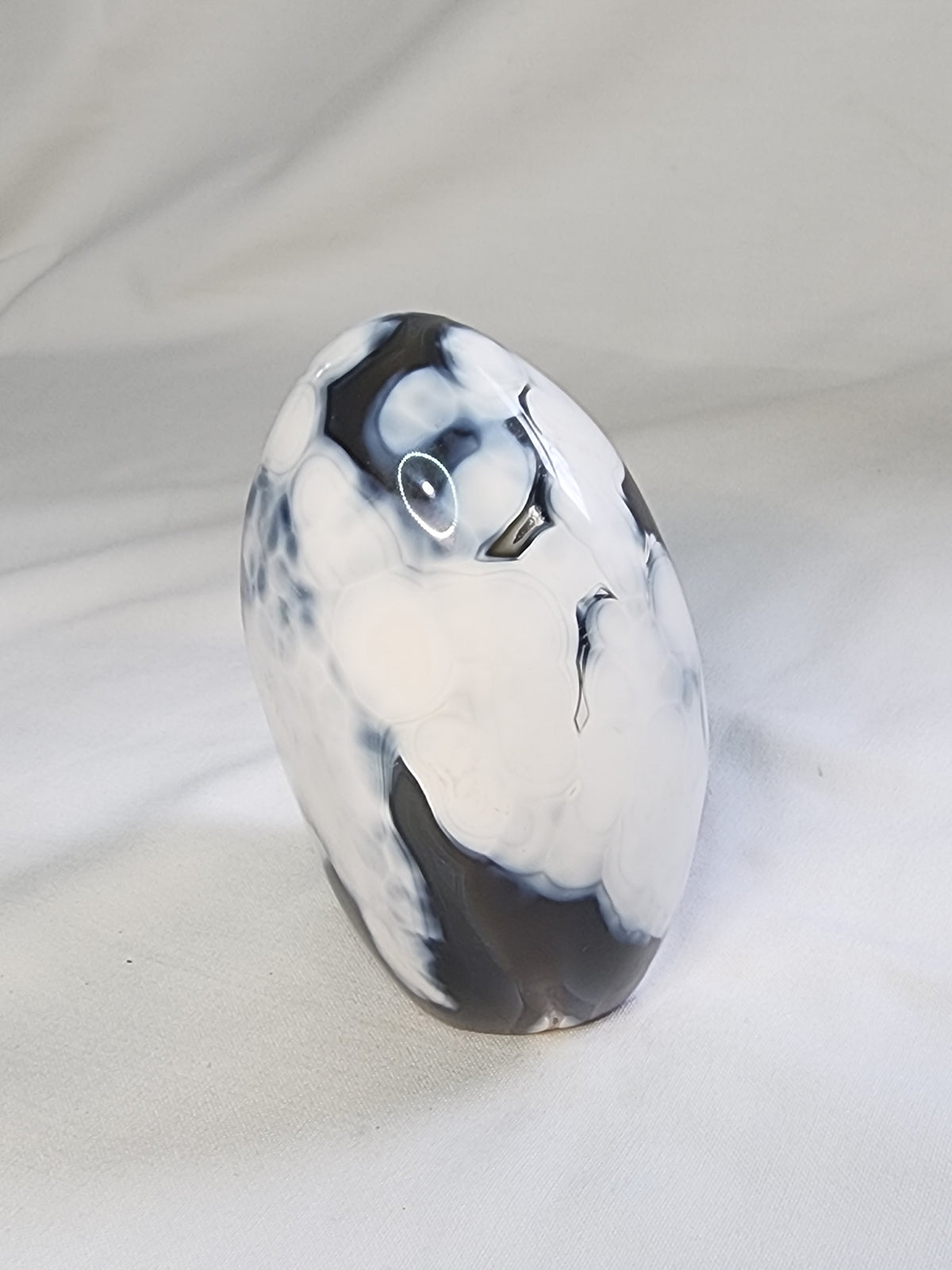 Orca Agate 2lb Freeform